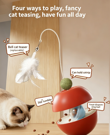 New roly-poly cat toy