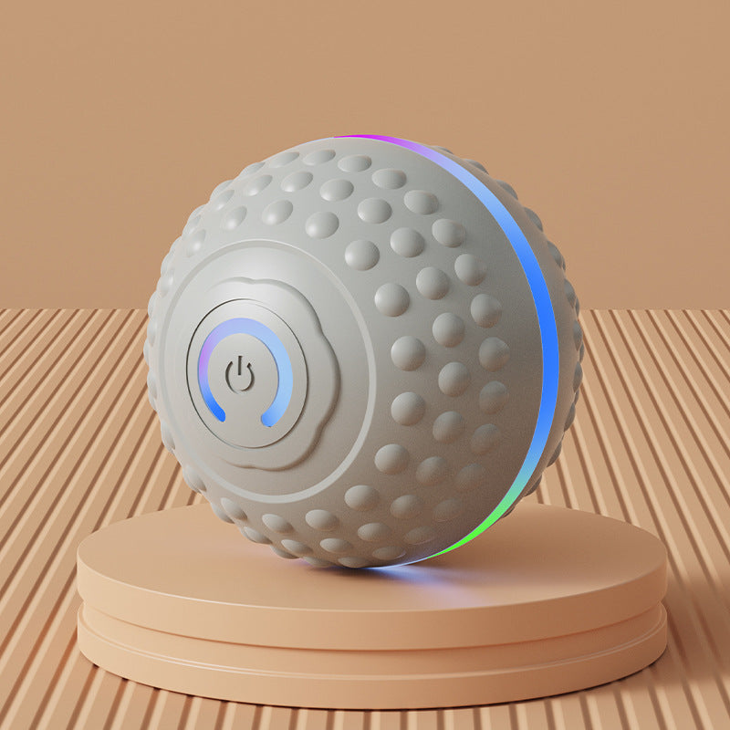 Electric Gravity Dog Bouncing Ball