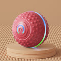 Electric Gravity Dog Bouncing Ball