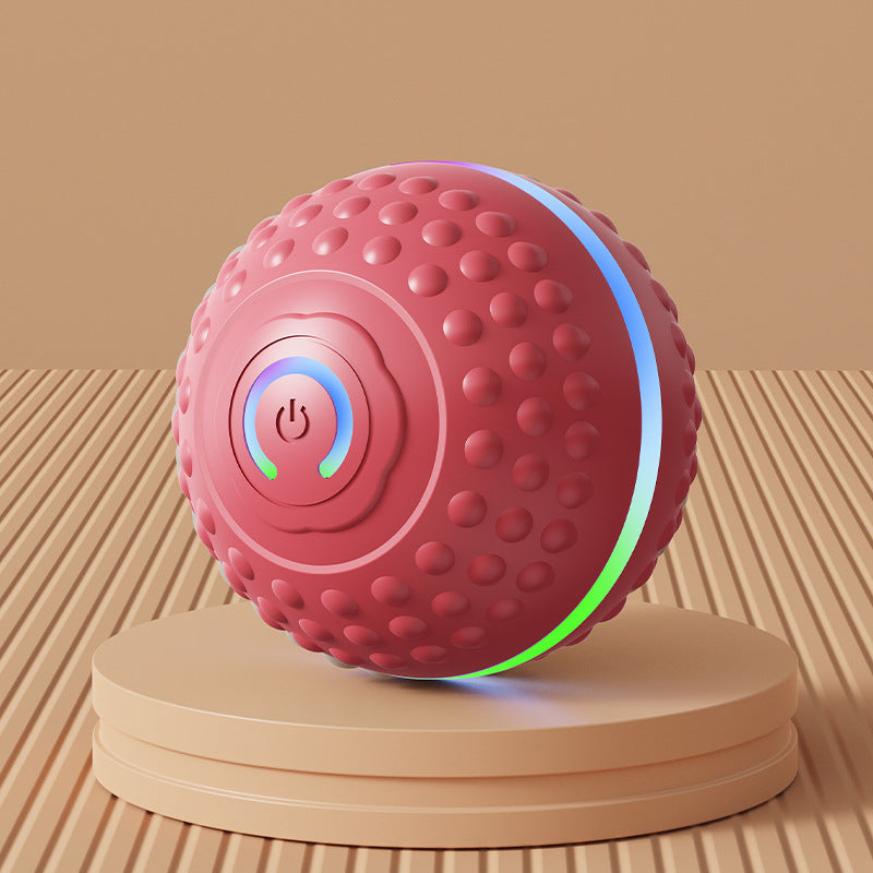 Electric Gravity Dog Bouncing Ball